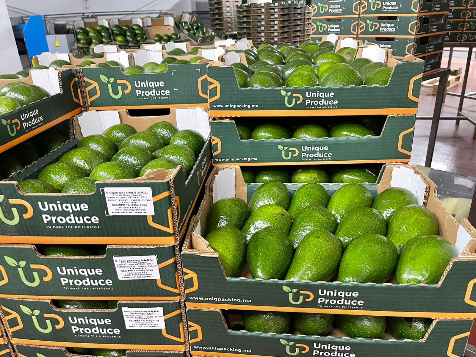 Sorting, packing & palletization