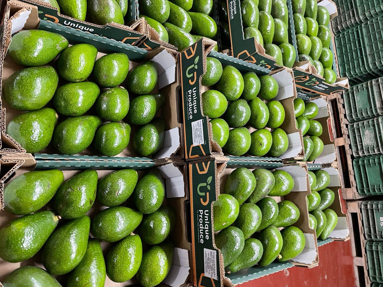 Sorting, packing & palletization