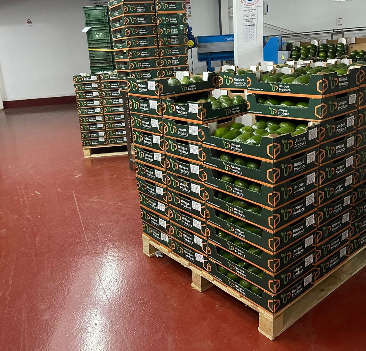 Sorting, packing & palletization