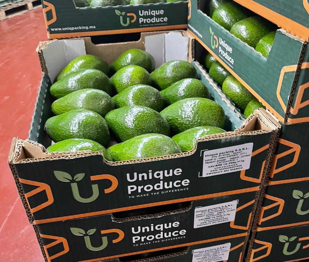 Precooling & Shipping